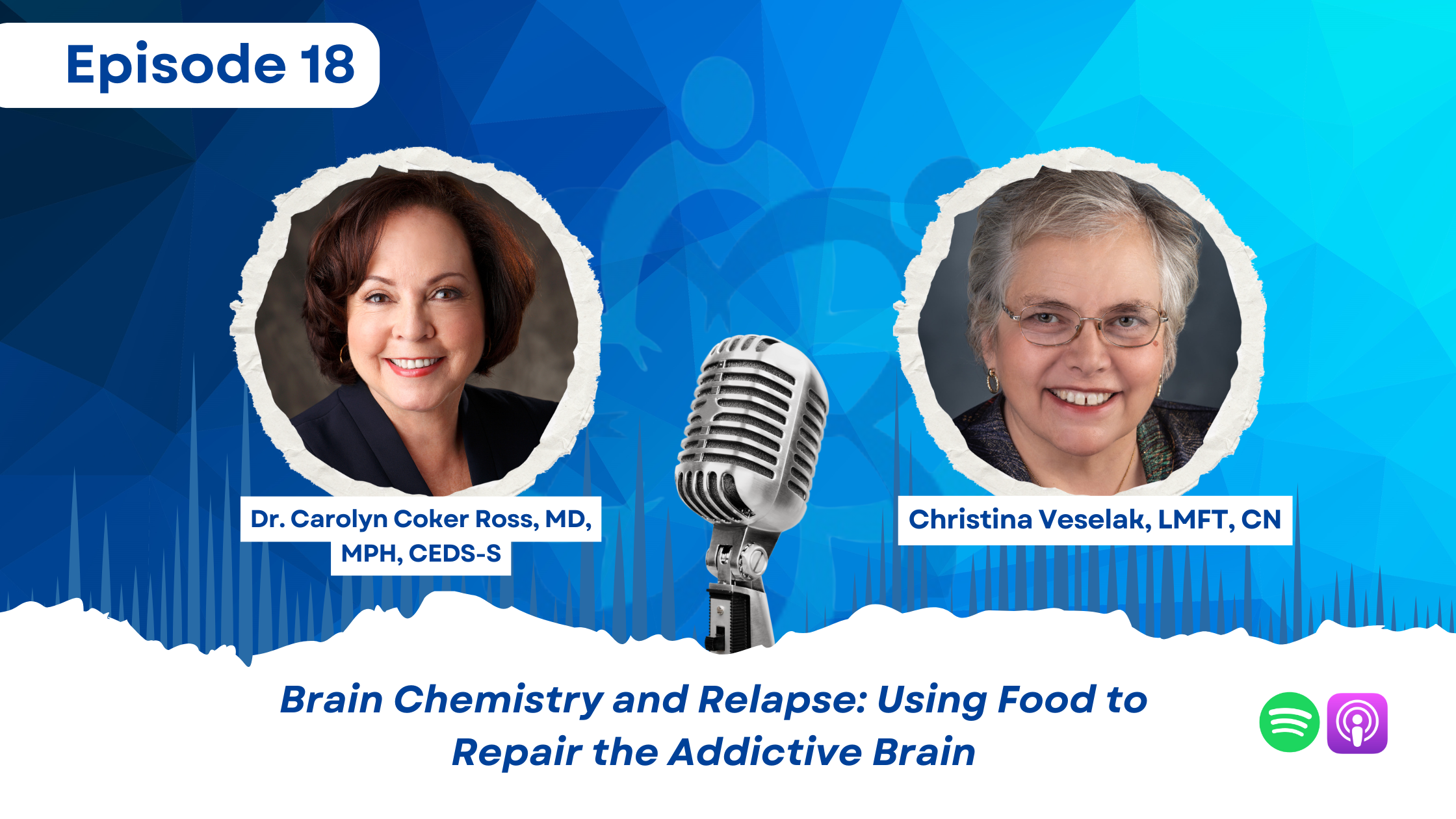 Brain Chemistry and Relapse: Using Food to Repair the Addictive Brain with Christina Veselak